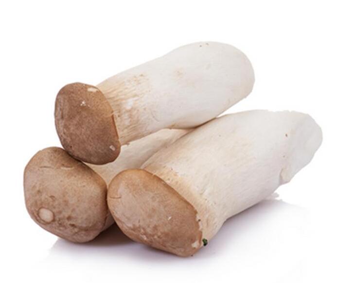 雞腿菇加應子的加工技術(shù)